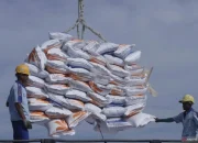 Indonesia Siap Ekspor Beras ke Negara yang Membutuhkan, Stok Dalam Negeri Melimpah